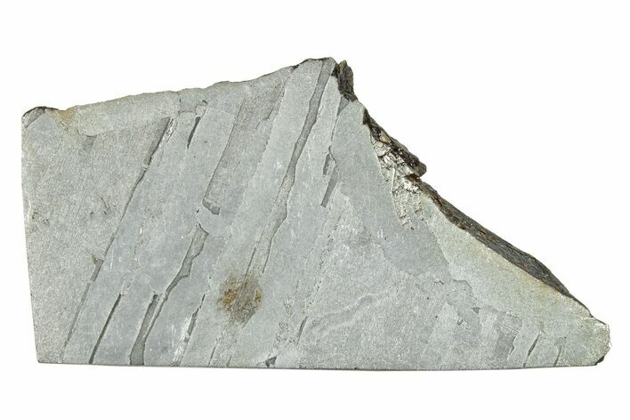 Etched Seymchan Pallasite Slice ( g) - Russia #247022